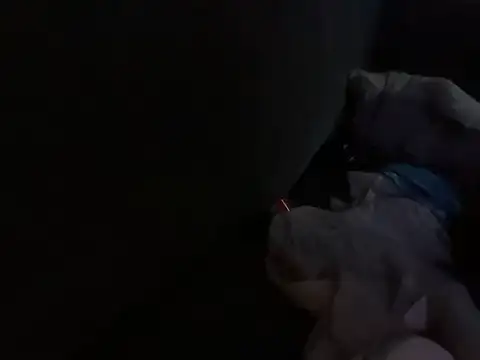 Snapshot of houy111111 chatting on October 18, 4:53 pm houy111111 online show from October 18, 4:53 pm