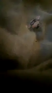 Snapshot of houy111111 chatting on September 23, 6:48 pm houy111111 online show from September 23, 6:48 pm