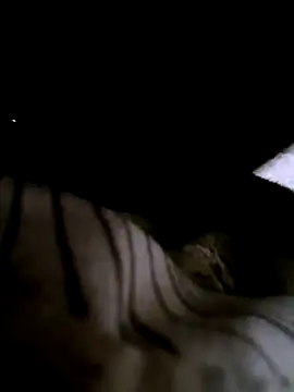 Snapshot of houy111111 chatting on January 9, 5:53 pm houy111111 online show from January 9, 5:53 pm