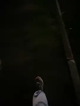 Lahcene online show from November 20, 6:30 pm