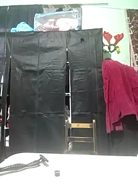 SiperoXxX online show from January 11, 12:12 am