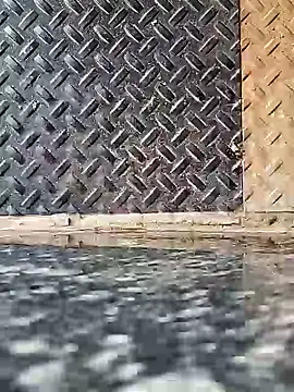 Coastal online show from February 7, 2:40 am