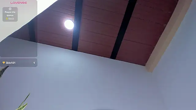 Snapshot of HaleyAmaya chatting on November 22, 7:13 pm HaleyAmaya online show from November 22, 7:13 pm