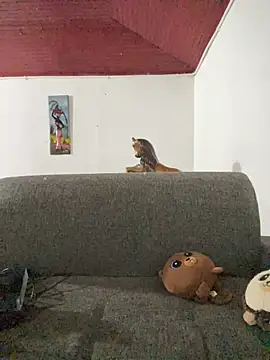 Junihn0 online show from October 26, 4:24 am