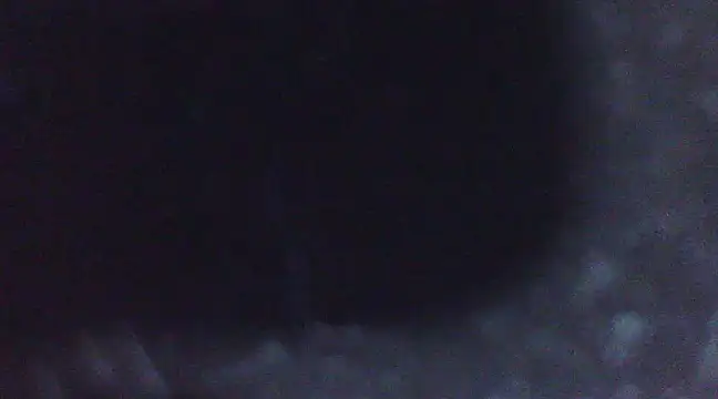 Penis58 online show from March 2, 2:58 pm
