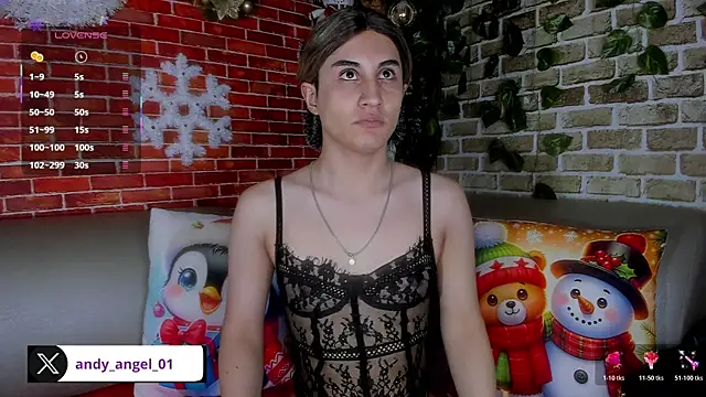 andy angell1 online show from January 10, 1:06 pm