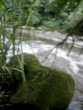 adam-rivera online show from November 17, 8:35 pm