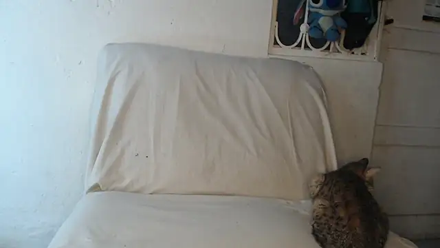 Snapshot of pervertsteens3 chatting on October 24, 4:55 am pervertsteens3 online show from October 24, 4:55 am