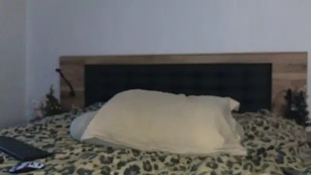 vera jim online show from December 19, 8:27 am