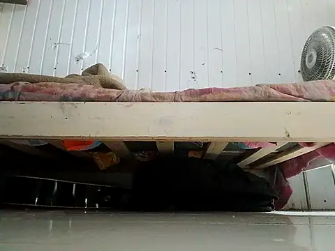 frotasso online show from February 13, 11:05 pm