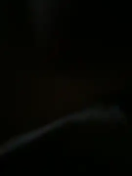 bra zuka online show from December 13, 8:41 am