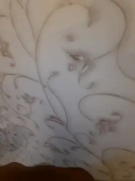 Ritikdesi online show from February 14, 2:18 am