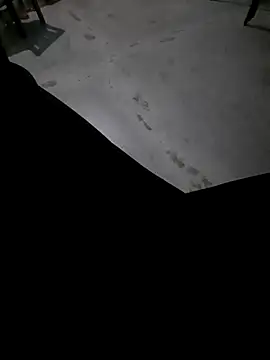 Ritikdesi online show from March 3, 2:44 am