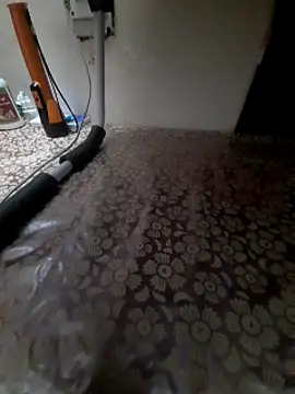 Ritikdesi online show from March 14, 3:58 pm