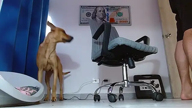 boss of cash online show from July 1, 12:05 pm