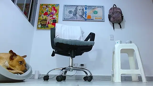 boss of cash online show from July 13, 4:34 am
