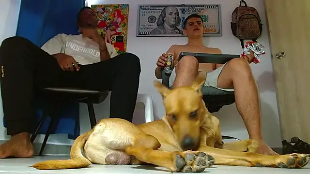 boss of cash online show from July 14, 6:25 pm
