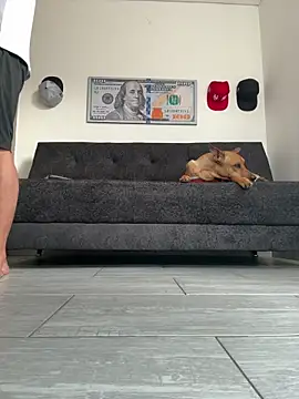 boss of cash online show from February 27, 12:16 pm