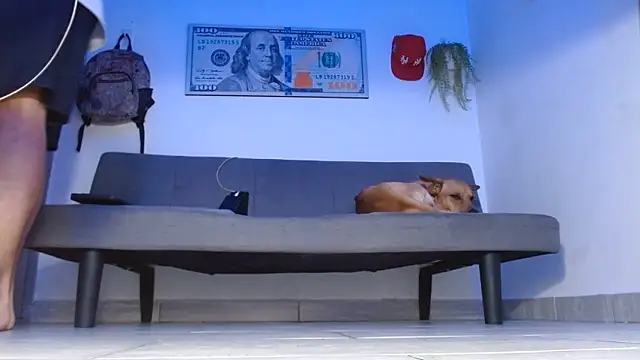 boss of cash online show from May 14, 12:07 am