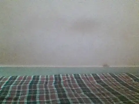 BBlackmombaaa online show from October 24, 2:10 am