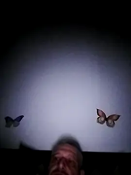 Husoban online show from November 25, 11:48 pm