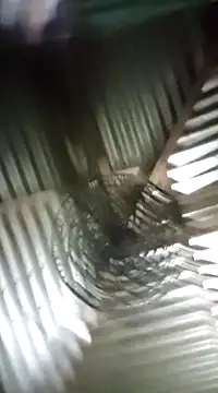 Sree-69-nude online show from February 24, 9:20 pm