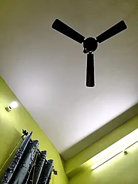 Shashi 9896 online show from November 19, 2:39 pm