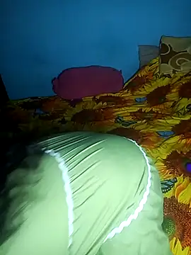 Snapshot of bhavanitelu chatting on December 3, 8:36 am bhavanitelu online show from December 3, 8:36 am