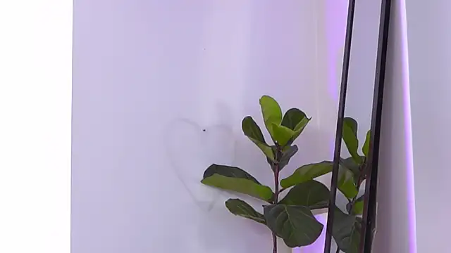 Jenna Day online show from October 21, 9:09 am