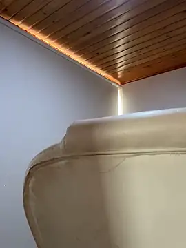 Snapshot of Adeellee_ chatting on December 21, 3:14 pm Adeellee online show from December 21, 3:14 pm