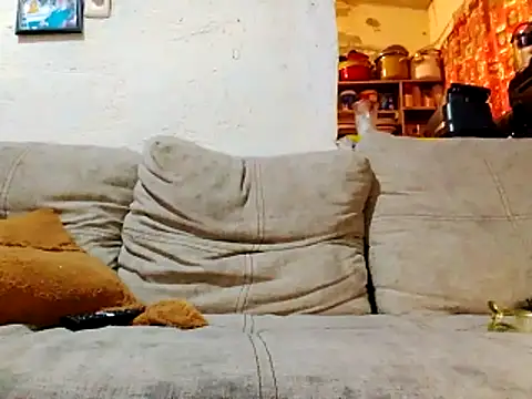 NewBe9D9 online show from November 23, 9:41 am