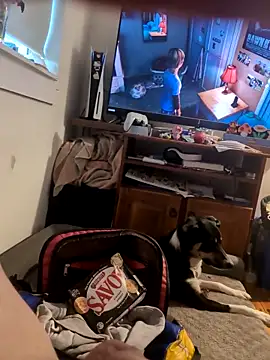 biggnipz online show from November 7, 5:34 am