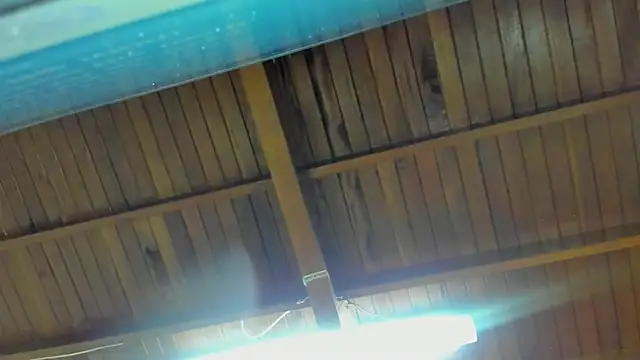 jeicob gagnon online show from September 15, 2:01 am