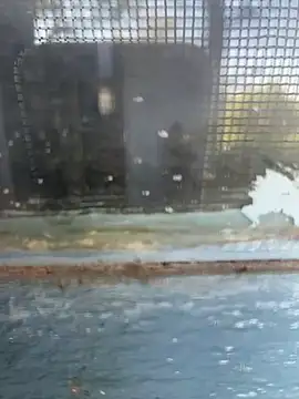 Hillz king 98 online show from February 11, 9:20 am