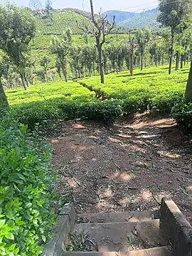 Hillz king 98 online show from February 28, 3:37 am