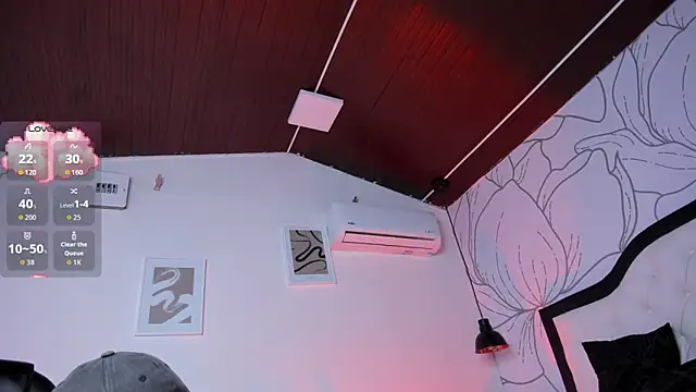 Samir bear online show from November 20, 12:50 pm