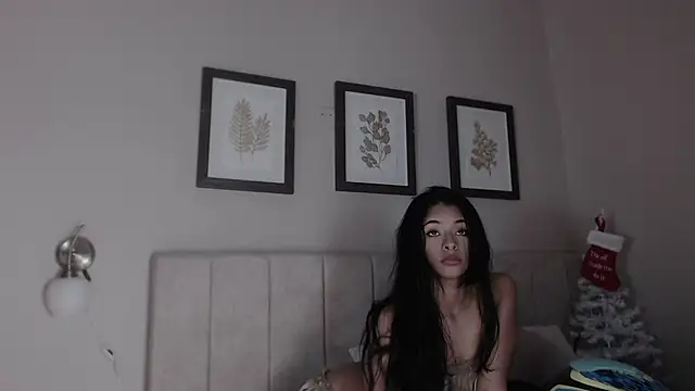  dakota a online show from December 19, 2:41 pm