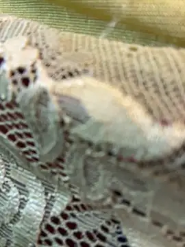 honeyboobies7249 online show from February 22, 7:37 pm