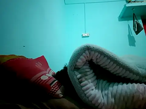 jaydev madhuri online show from December 22, 2:49 am