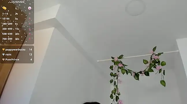 Ninna--1 online show from January 12, 6:59 pm