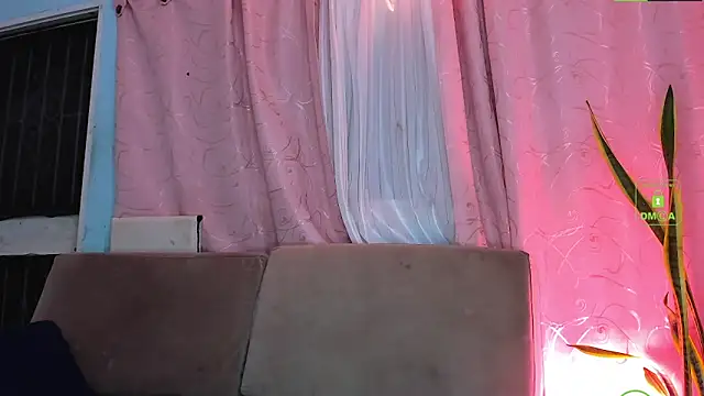 milktitsdua online show from November 19, 8:14 am