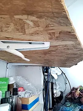 gatoalex89 online show from April 8, 10:22 pm