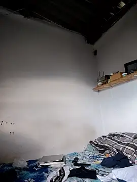 gatoalex89 online show from April 12, 8:01 pm