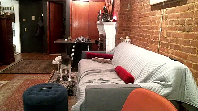 Johnny Bottoms online show from October 23, 10:19 pm