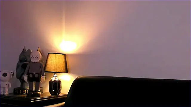 Snapshot of BradLeon_ chatting on November 23, 9:36 pm BradLeon online show from November 23, 9:36 pm