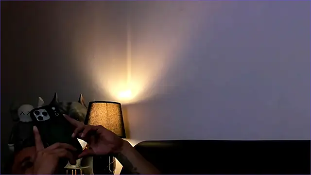 BradLeon  online show from January 11, 1:01 am