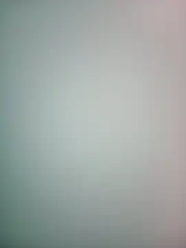 DampedRear online show from February 27, 11:59 pm