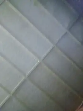 zaneporter46 online show from February 5, 6:15 pm