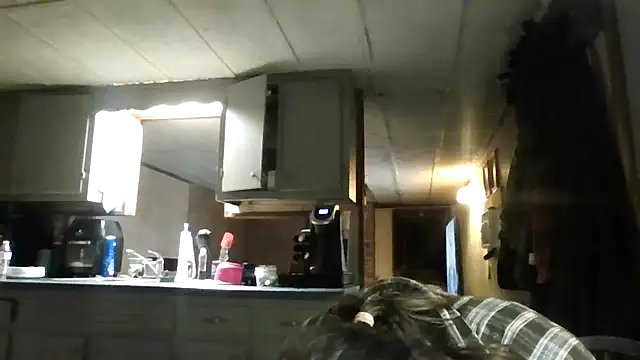 zaneporter46 online show from November 13, 11:14 am