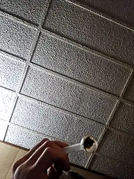 zaneporter46 online show from October 21, 7:30 am